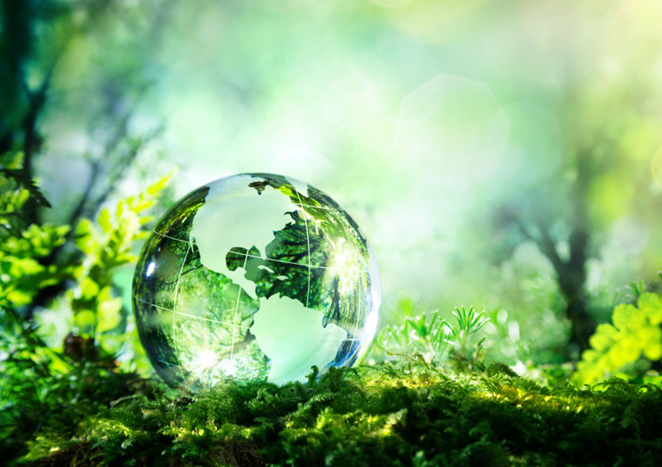 Prioritize Environmental Safety